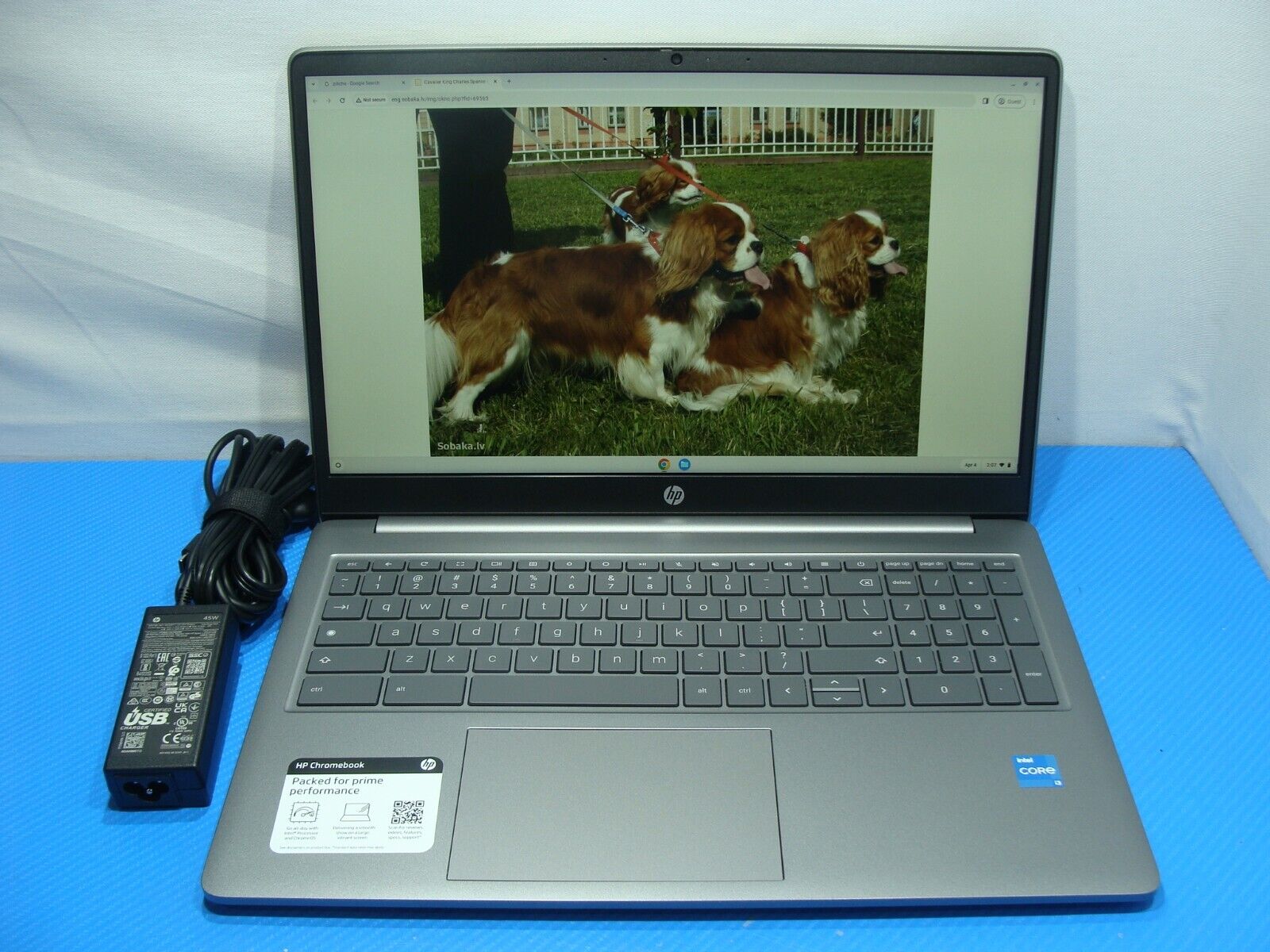 HP Chromebook 15a-nb0033dx 15.6