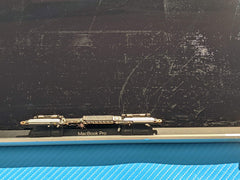 MacBook Pro A1707 15" Late 2016 MLH32LL/A LCD Screen Assembly Silver 661-06376