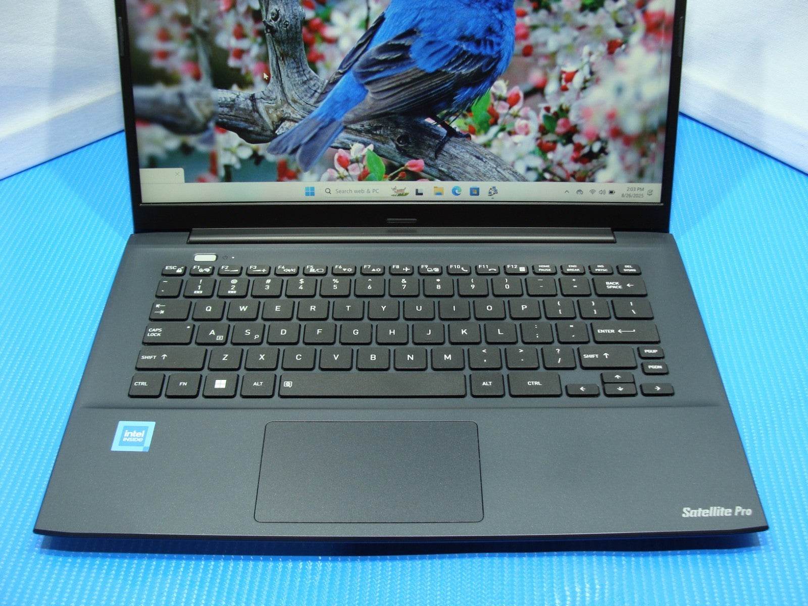 DynaBook Satellite Pro C40-K Intel Celeron 7305 1.1Ghz 8GB 256GB 100% Battery - Tested Computer Laptop Parts