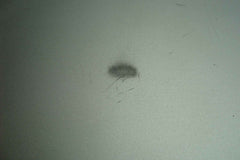 MacBook Pro A1286 15" Early 2010 MC373LL/A Bottom Case Housing 922-9316