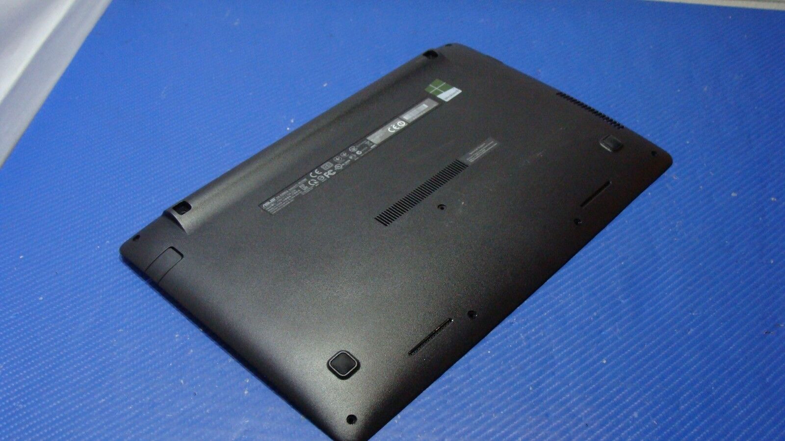 Asus VivoBook 11.6