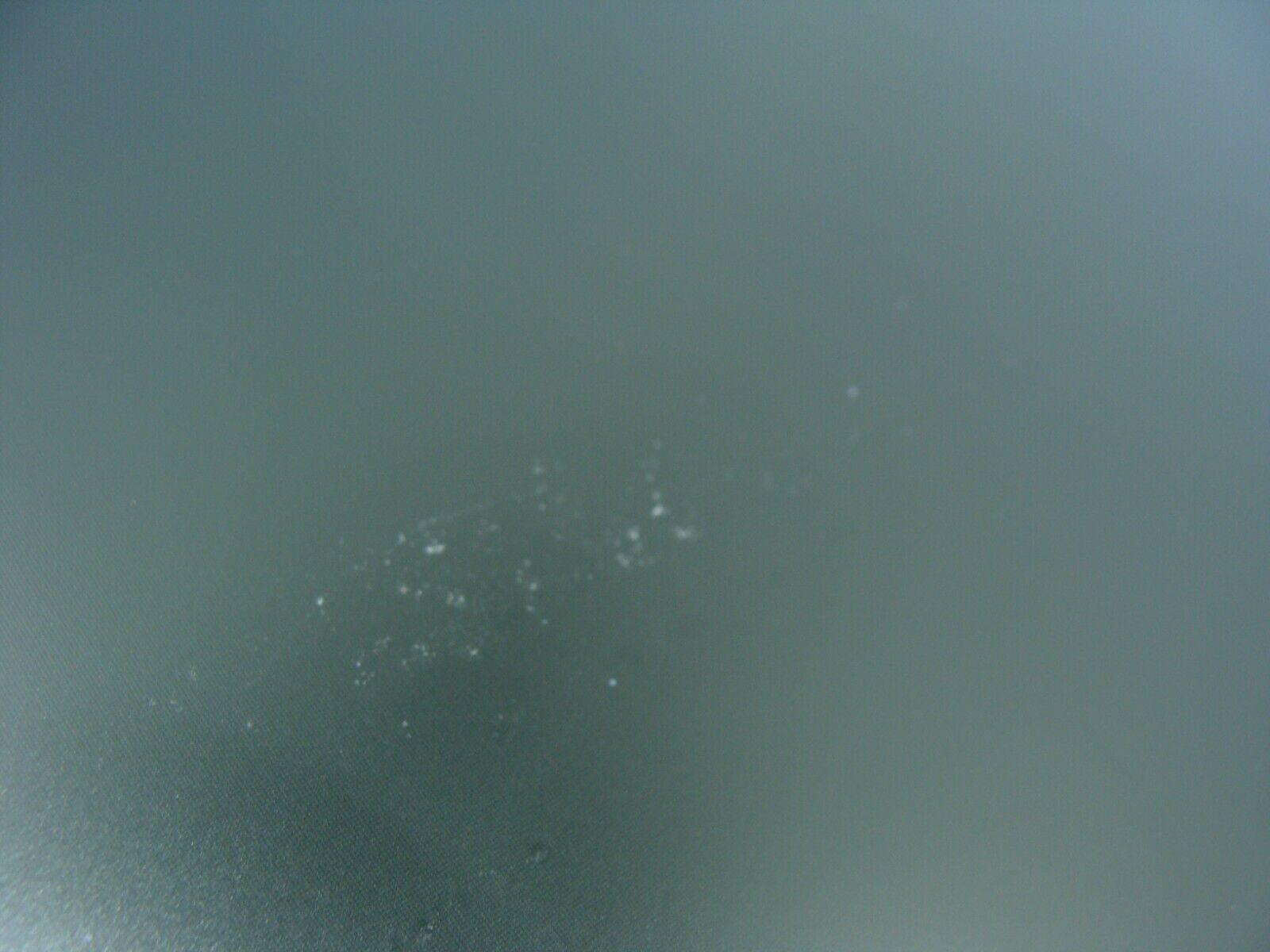 Dell Latitude 5491 14