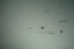 MacBook Air A1466 13" 2014 MD760LL/B Genuine Laptop Bottom Case 923-0443 - Tested Computer Laptop Parts