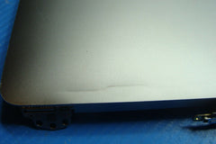 MacBook Pro A1708 13"2016 MLL42LL/A LCD Screen Display Space Gray 661-05095 ASIS 