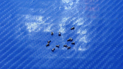 Samsung Galaxy Tab Pro SM-T320 8.4" OEM Screw Set Screws for Repair ScrewSet Samsung