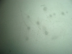 MacBook Pro A1278 MD101LL/A Mid 2012 13" Genuine Laptop Bottom Case 923-0103 - Laptop Parts - Buy Authentic Computer Parts - Top Seller Ebay