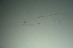 MacBook Air A1466 13" 2014 MD760LL/B Genuine Laptop Bottom Case 923-0443 - Tested Computer Laptop Parts