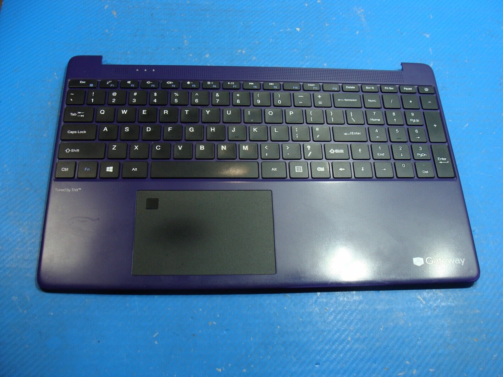 Gateway GWTN156-7PR 15.6 Palmrest w/Touchpad Keyboard