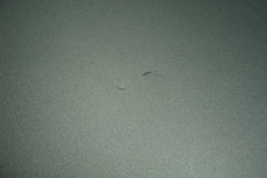 HP 15-dy1073nr 15.6" Genuine Laptop Lcd Back Cover 3d0p5tp503 