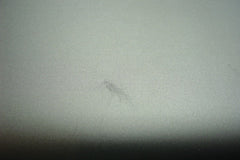 Asus ZenBook UX330UA 13.3" Genuine Bottom Base Case Cover Silver 13nb0cw1am0611 