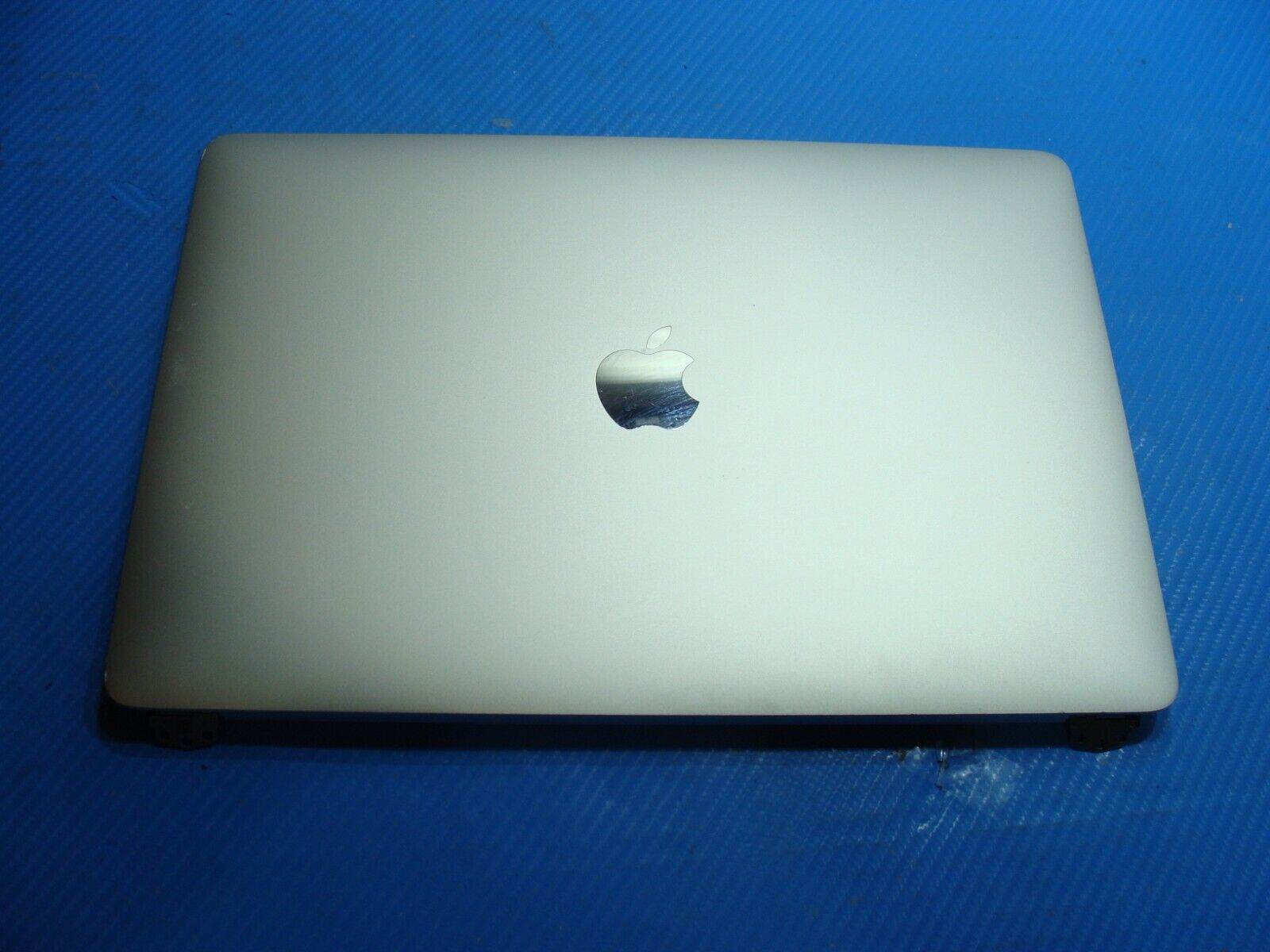 MacBook Pro A2159 2019 MUHN2LL/A 13 OEM LCD Display Screen Silver 661-12830 READ - Tested Computer Laptop Parts
