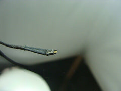 MacBook Pro A1286 MC721LL/A Early 2011 15" Glossy LCD Screen Display 661-5847 - Laptop Parts - Buy Authentic Computer Parts - Top Seller Ebay