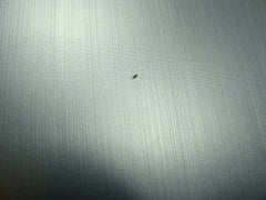 Asus X441MA-GA087T 15.6" Genuine Laptop Glossy LCD Screen Complete Assembly