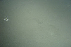 Dell Precision 7530 15.6" Genuine Laptop Palmrest w/ Touchpad 0f14d 