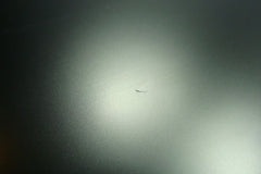 HP Stream 11-y012nr 11.6" Matte HD LCD Screen Complete Assembly 