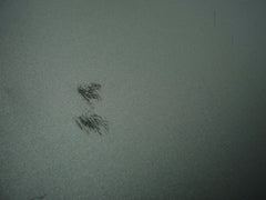 MacBook Air A1466 13" 2015 MJVE2LL/A Bottom Case Silver 923-00505 - Laptop Parts - Buy Authentic Computer Parts - Top Seller Ebay