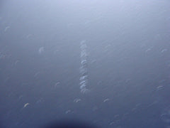 Asus Transformer Pad 10.1" K010 TF103C Original Back Cover 13NK0101AP0211 GLP* - Laptop Parts - Buy Authentic Computer Parts - Top Seller Ebay