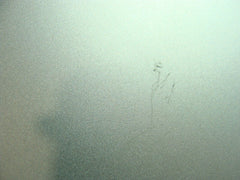 MacBook Pro A1278 MD101LL/A Mid 2012 13" Genuine Laptop Bottom Case 923-0103 - Laptop Parts - Buy Authentic Computer Parts - Top Seller Ebay