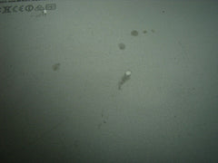 MacBook Air A1465 11" Early 2014 MD711LL/B MD712LL/B Bottom Case 923-0436 #8 